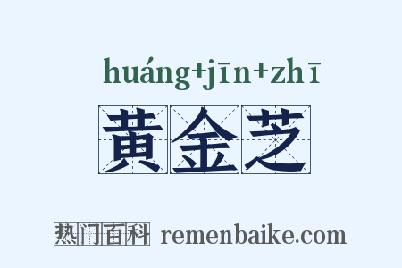 黄金芝是什么意思的图片